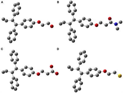 Interaction of Tamoxifen Analogs With the Pocket Site of Some Hormone Receptors. A Molecular Docking and Density Functional Theory Study